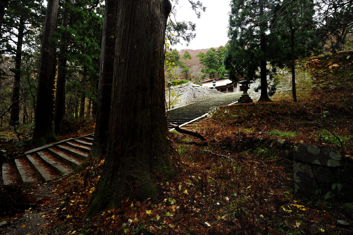 c0138991_19445437.jpg