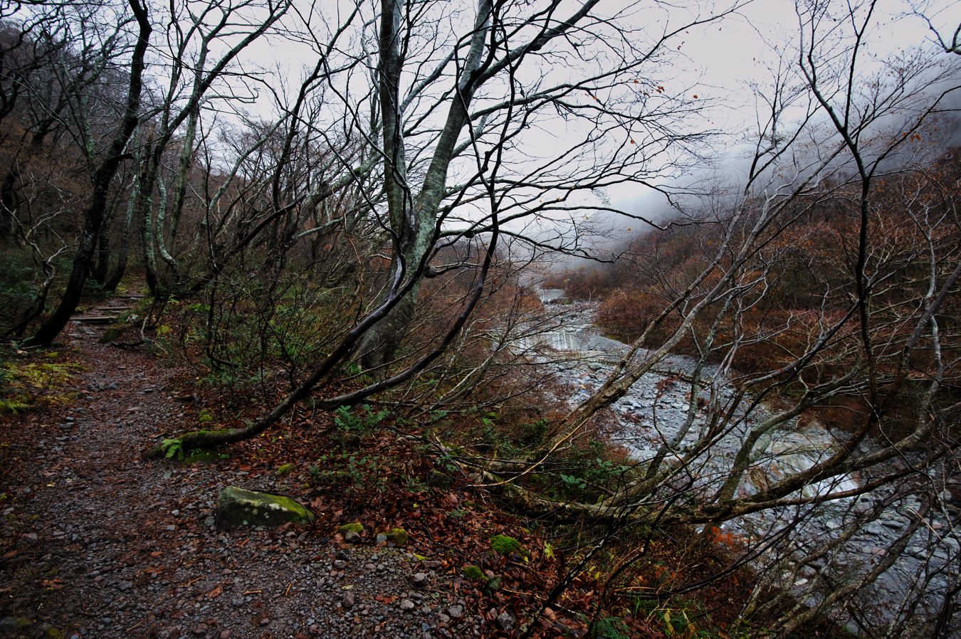 c0138991_2072297.jpg