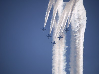 a0133493_935437.jpg
