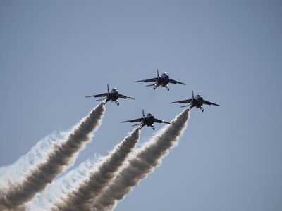 a0133493_9355952.jpg