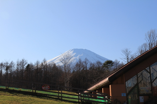 b0151893_2393919.jpg
