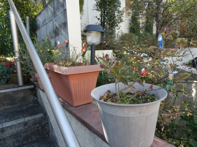 f0130894_2143847.jpg