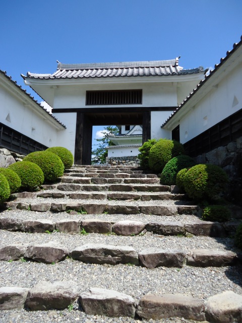 b0062495_1757798.jpg