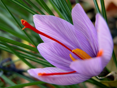 f0201297_20434749.jpg