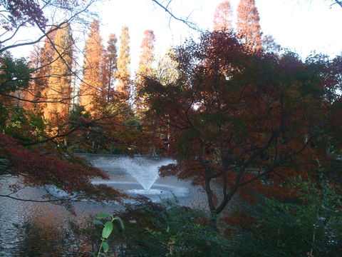 f0153998_23393569.jpg