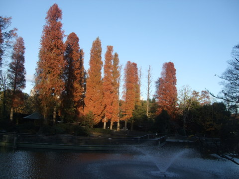 f0153998_23395590.jpg