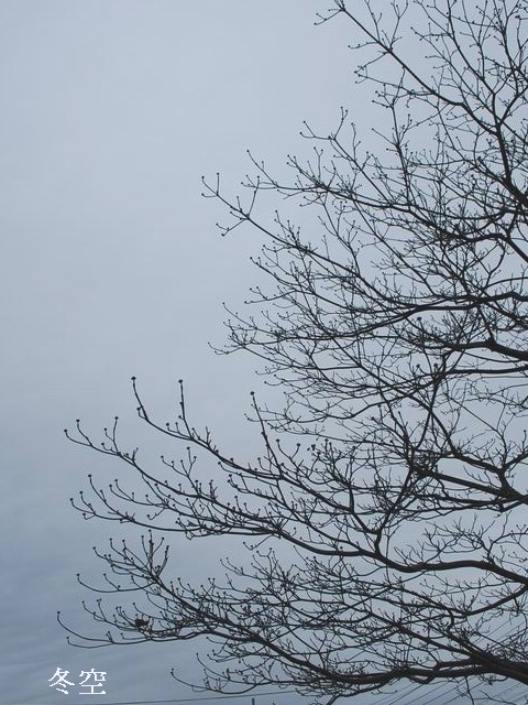 e0025300_16261655.jpg