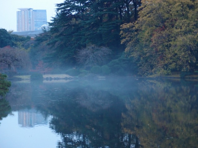 f0224100_5253144.jpg