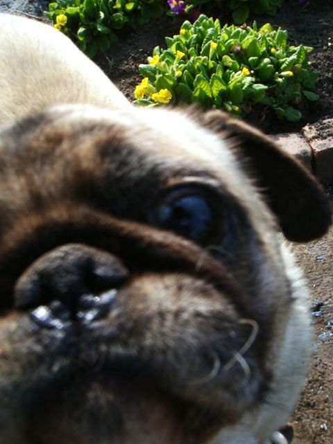 e0007801_0541652.jpg