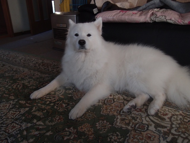e0018604_13221222.jpg