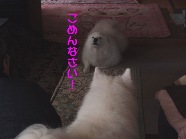 e0018604_13332921.jpg