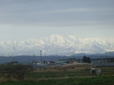 b0050305_19583963.jpg