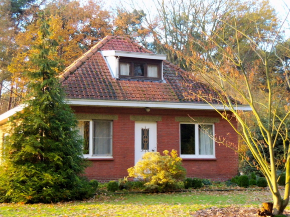 a0230008_7591324.jpg