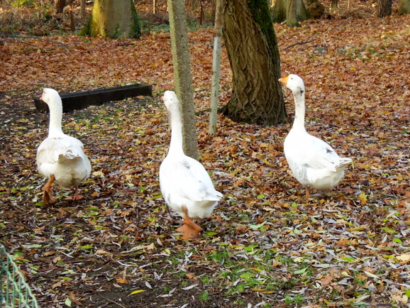 a0230008_862981.jpg