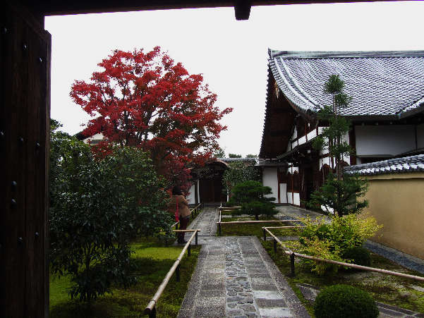 d0154609_15582414.jpg