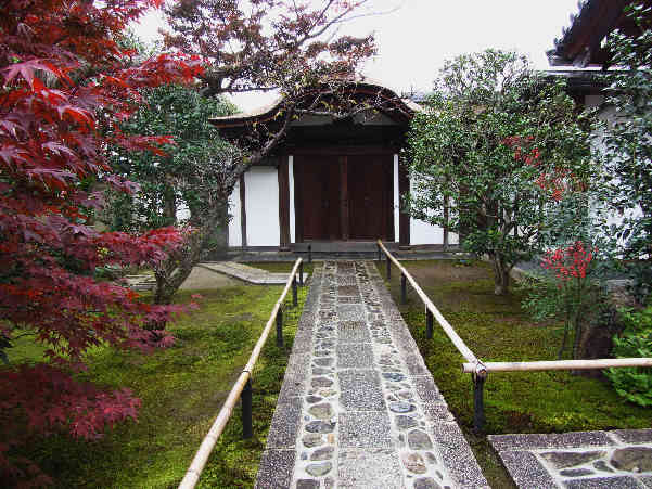 d0154609_15592634.jpg