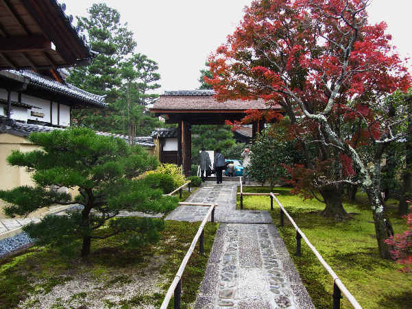 d0154609_1663376.jpg