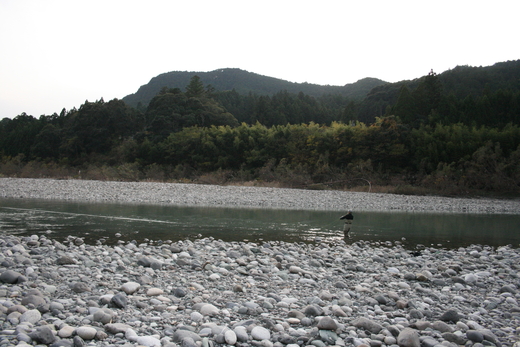 b0054622_235581.jpg