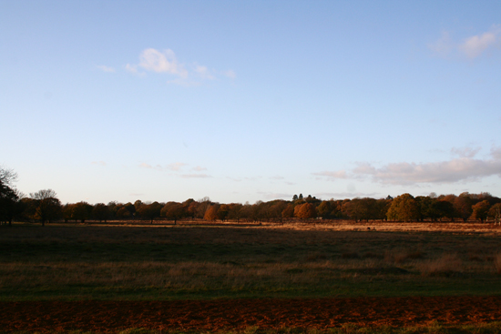 f0018027_7363631.jpg