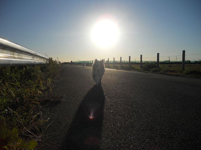 d0059230_8544073.jpg