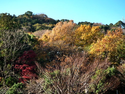 d0037233_1353739.jpg