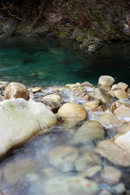 e0083238_2040429.jpg