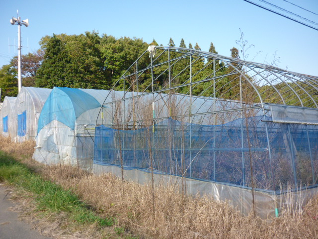 e0131541_9202324.jpg