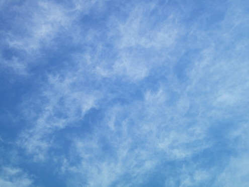 a0162251_12545929.jpg