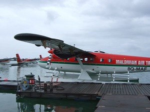 f0190653_19415969.jpg