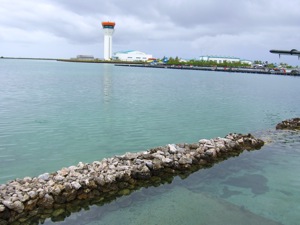 f0190653_19423023.jpg