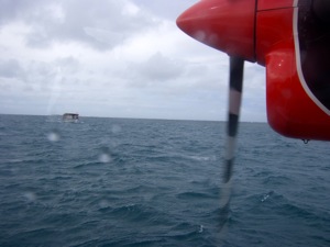 f0190653_19424648.jpg