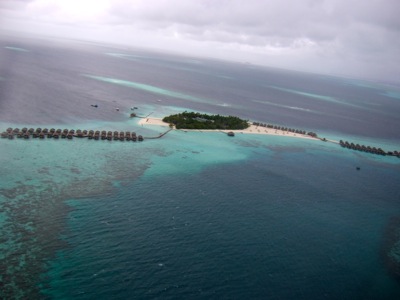 f0190653_19424993.jpg