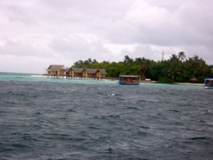 f0190653_19425764.jpg