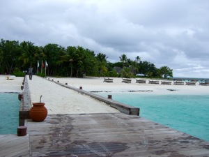 f0190653_19431385.jpg
