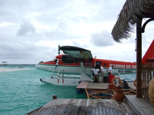 f0190653_19434440.jpg
