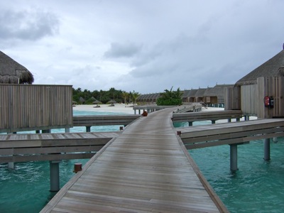 f0190653_20171026.jpg