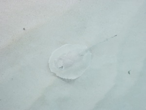 f0190653_20172487.jpg