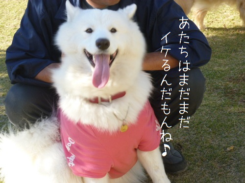 a0166954_2331391.jpg