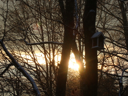 f0198556_014534.jpg