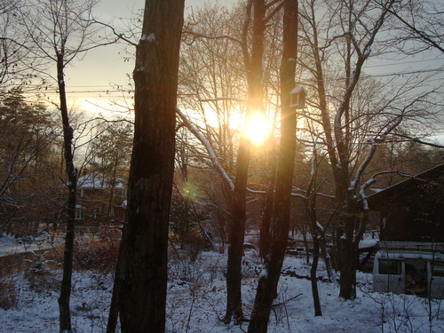 f0198556_021277.jpg