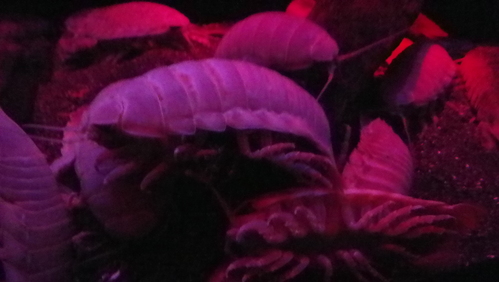 d0251768_2015243.jpg