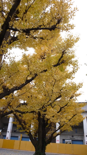 f0143269_23484013.jpg