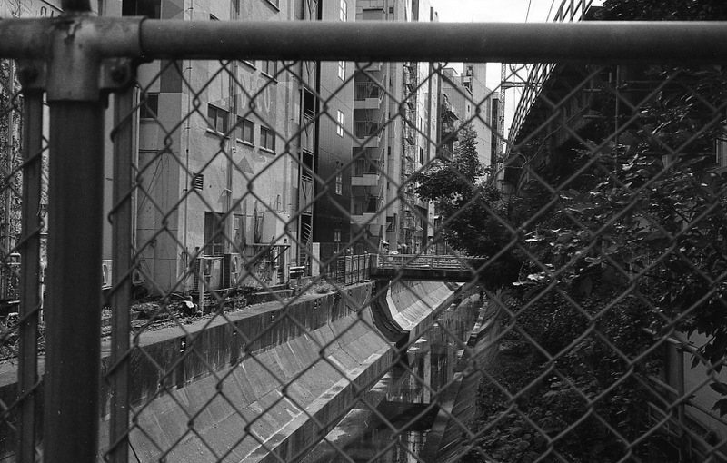 c0195570_23115722.jpg