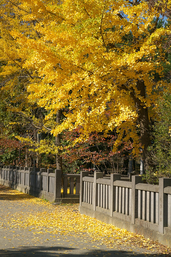 b0083779_1345474.jpg