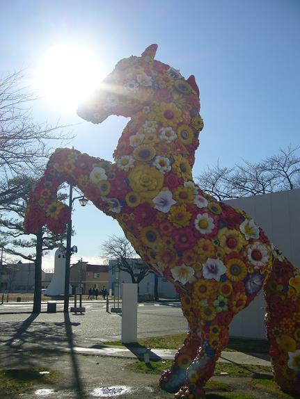 c0198781_2005019.jpg