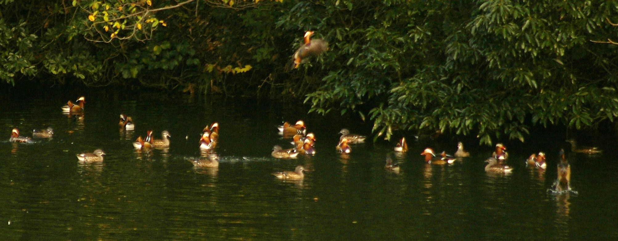 e0197884_20572344.jpg