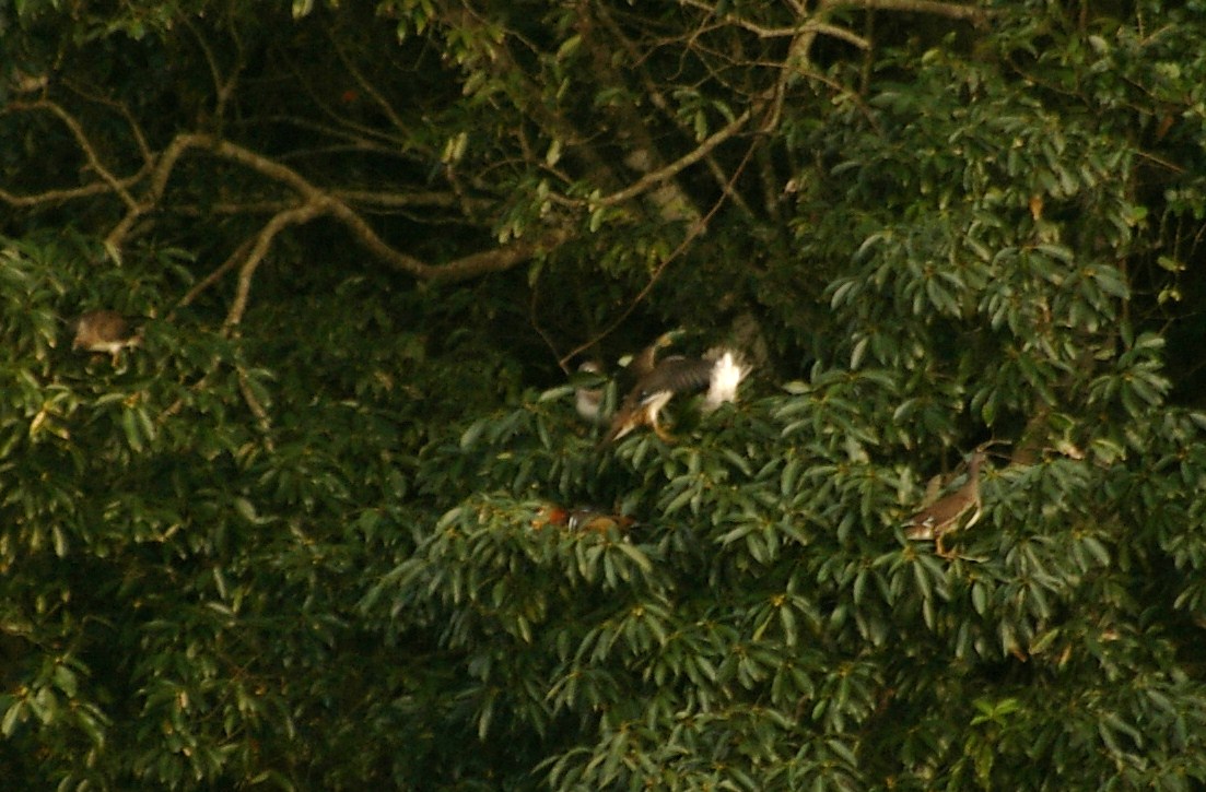 e0197884_20581921.jpg