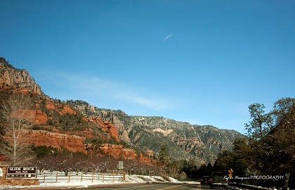 e0148185_118289.jpg