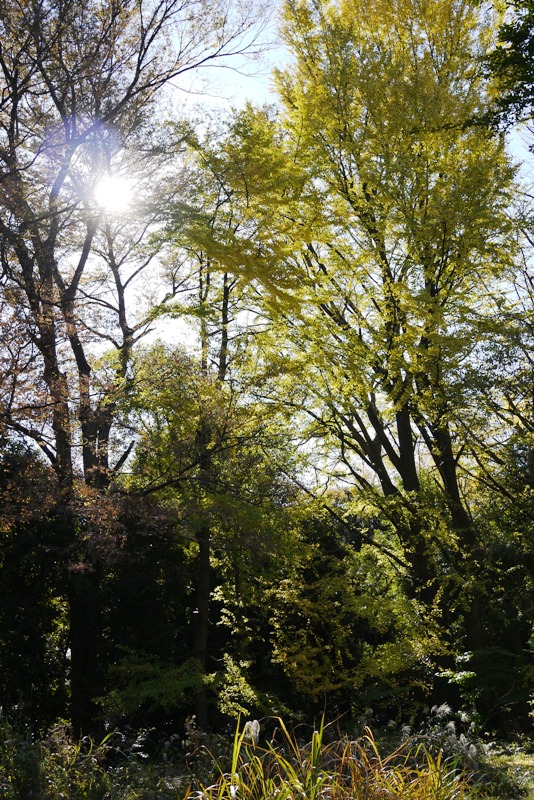 a0127090_2114340.jpg