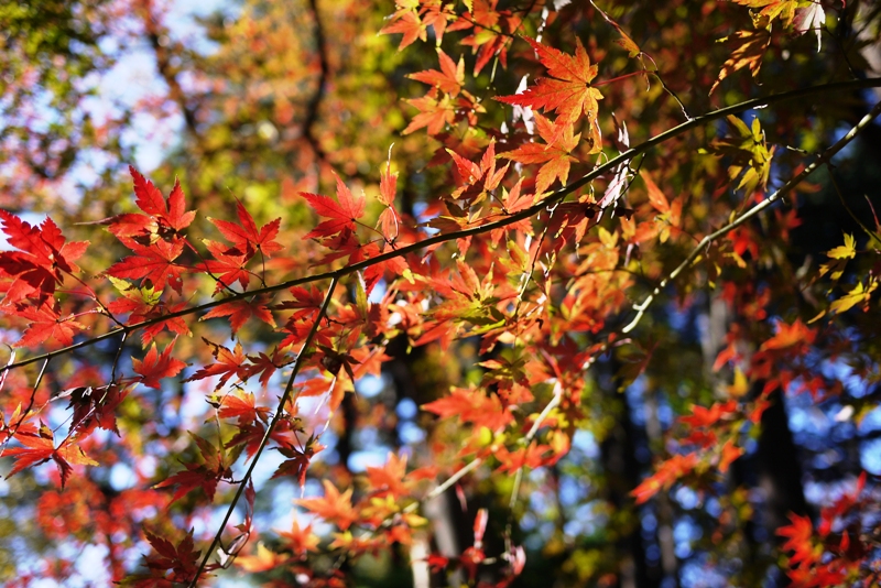 a0127090_2123591.jpg